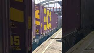 Crossrail Class66 DE6301 Met half beladen container trein passeert Sint Katelijne Waver 28092024 [upl. by Dietsche]