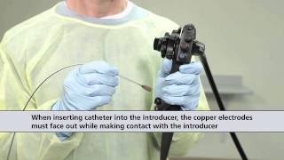 Barrx™ Channel RFA Endoscopic Catheter Procedure Animation [upl. by Newmann]