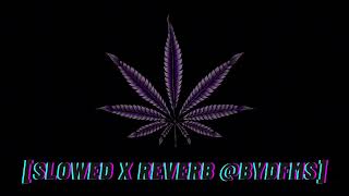 abran paso mexicano 777 slowed x reverb byDFMS The Majestic 2 [upl. by Beatrisa708]