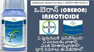 BAYER OBERON INSECTICIDE  SPIROMESIFEN 240 SC  FULL DETAILS IN TELUGU FUTURE TECH AGRICULTURE [upl. by Eizle]