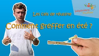 Comment écussonner les arbres fruitiers  Tutoriel en détail et points de vigilance [upl. by Ocana785]