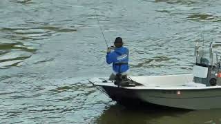 Striper Breaks Rod at Weldon Roanoke river Weldon boat ramp Weldon NC Rockfish capital [upl. by Pentheas125]