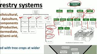 Agroforestry System  Classification of agroforestry AgroforestrySystem Agroforestry [upl. by Imim]