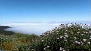 Parque Nacional de Las Cañadas del Teide  Documental [upl. by Nauqet251]