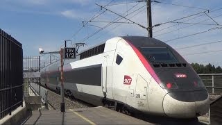 AVIGNON TGV [upl. by Adniles]