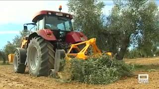 EL CAMPO  Piden a la ministra de Agricultura que se reúna con regantes de CLM  100518 [upl. by Eehsar853]