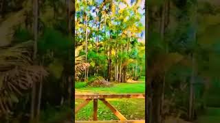 WhatsApp Video 2024 09 23 at 14 04 08 [upl. by Razaele]