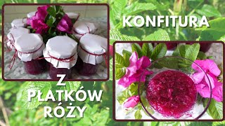 Konfitura z płatków róży  jak zrobić Stary przepis w prostym nowoczesnym wydaniu rose petal jam [upl. by Garold577]