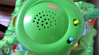 Fisher Price Rainforest Melodies and Lights Deluxe Gym [upl. by Stillman]