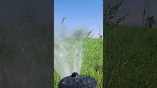 Rotating sprinkler [upl. by Jodoin]