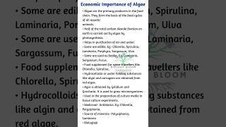 Economic Importance of Algae  Algae Importance biologybloom [upl. by Aibsel]