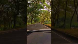 cinematic video shorts nature travel naturephotography love [upl. by Frey]