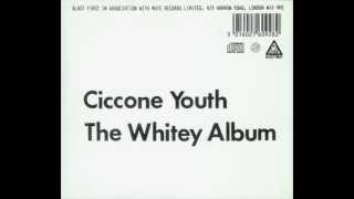 Ciccone Youth  Addicted to Love [upl. by Manuela]