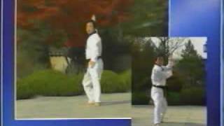 15 Taekwondo Poomsae Cheonkwon WTF [upl. by Ginnie499]