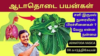 ஆடாதொடை இலை மருத்துவ குணம்  home remedies for cough adhatoda leaf  Doctor Karthikeyan [upl. by Dilly]