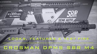 Crosman DPMS SBR  CO2 45mm BB  Looks Features and Test Fire [upl. by Trinetta]