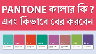 How to find pantone color code in illustrator  কিভাবে প্যানটন কালার কোড বের করা যায়। [upl. by Venuti]