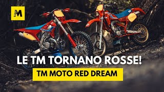 Le TM tornano ROSSE Tutte le novità sulle nuove moto da enduro made in Pesaro dal GP dItalia [upl. by Arabela]