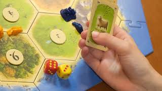 Catan The Video Essay Edition [upl. by Howey]