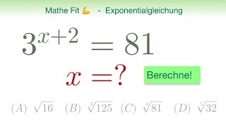 🏋️‍♀️ Mathe Fit 5  Finde die richtige Lösung  Exponentialgleichung  n te Wurzeln [upl. by Nolaj]