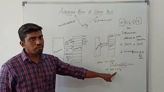 Address Bus amp Data Bus in Microprocessor  S Vijay Murugan  Learn Thought [upl. by Brezin52]