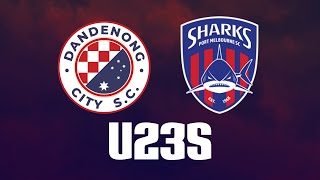 Dandenong City v Port Melbourne Sharks U23 [upl. by Aerdua374]