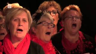 Smartlappen festival 2015 Tiel Fruitig geflipt [upl. by Suoirtemed]