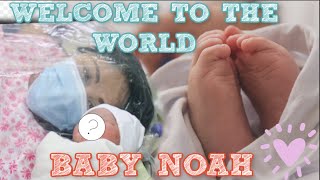 Welcome to the World Baby Noah [upl. by Eetnom785]