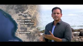 Cachorro espera na praia a um ano o dono que morreu no mar no perú [upl. by Dove]