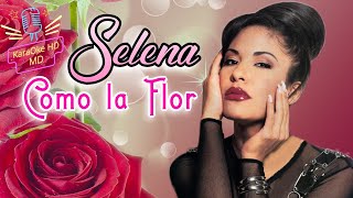 COMO LA FLOR  SELENA KaraOke HD [upl. by Ahseral780]