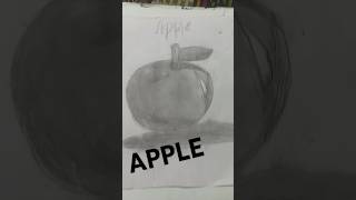 Apple drawing drawing pencil apple sketch realistic [upl. by Ahsenom]