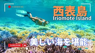 【沖縄離島旅】初めての西表島の海を泳ぎまくって来ました！美しい海と自然に癒された🥹✨ [upl. by Nared]