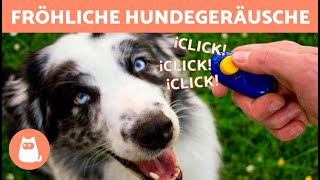 GERÄUSCHE die HUNDE LIEBEN 🐶🔊 Reagiert dein HUND auf diese GERÄUSCHE [upl. by Occor385]