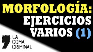 Morfología Ejercicios varios de análisis morfológico [upl. by Ymmik]