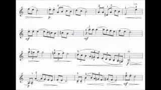 Perlman George Israeli Concertino for violin  piano [upl. by Nehcterg]