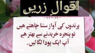 dil ko chhone wale alfaz behtren aqwal best quotes YouTube viralvideos best motivational quotes [upl. by Koss]