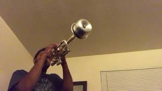 Smooth jazz trumpet with mute [upl. by Yrkcaz]