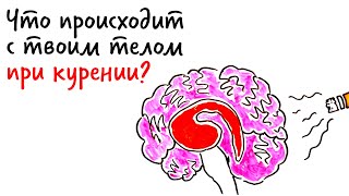 Что происходит с ТВОИМ ТЕЛОМ при курении — Научпок [upl. by Esaertal]