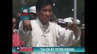 Tai chi master the great PETER KWONG show his incredible skills2021 [upl. by Rialc]