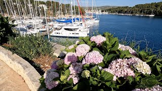 Adriatic Sea Sailing Day3 Hver Flotilla of Sunsail [upl. by Caines]