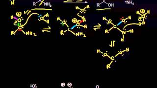 Acid and basecatalyzed hydrolysis of amides  Organic chemistry  Khan Academy [upl. by Brody]