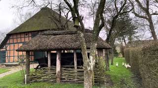 Kleinvieh am Dithmarscher Bauernhaus in Meldorf [upl. by Aivatra]