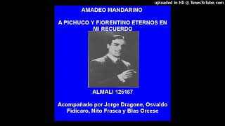 Amadeo Mandarino quotCorrientes y Esmeraldaquot [upl. by Eppillihp192]