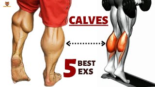 5 BEST CALVES EXERCISES AT GYM  musculation mollets [upl. by Luhar653]