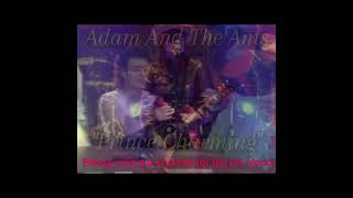 Adam And The Ants Prince Charming shorts short [upl. by Yziar]