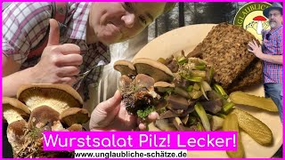 Wurstsalat Pilz Pilzsalat aus Samtfusskremplingen Eine leckere Versuchung Pilze im Juni 2024 [upl. by Hgeilhsa]