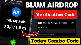 How To Analyse Crypto Blum Video Code  How To Analyze Crypto Blum Video Code Today Blum Code Today [upl. by Fionna948]