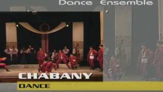 Ukrainian dance ensemble quotNadzbruchankaquot Ансамбль танцю quotНадзбручанкаquot [upl. by Htabmas322]