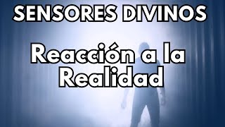 LOS SENSORES DIVINOS Reacción a la Realidad [upl. by Odine]