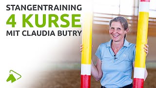 20 Übungen für dein Stangentraining mit Claudia Butry  wehorse [upl. by Nnaihs]